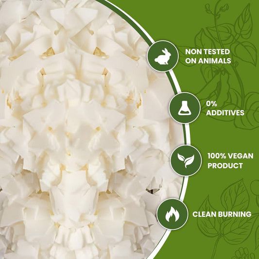 Auroh 1KG Soy Wax for Candle Making 100% Pure Natural SOYA Container Wax Flakes – Biodegradable, eco-Friendly Candle Wax for Wax Melts and Fragrance Candles